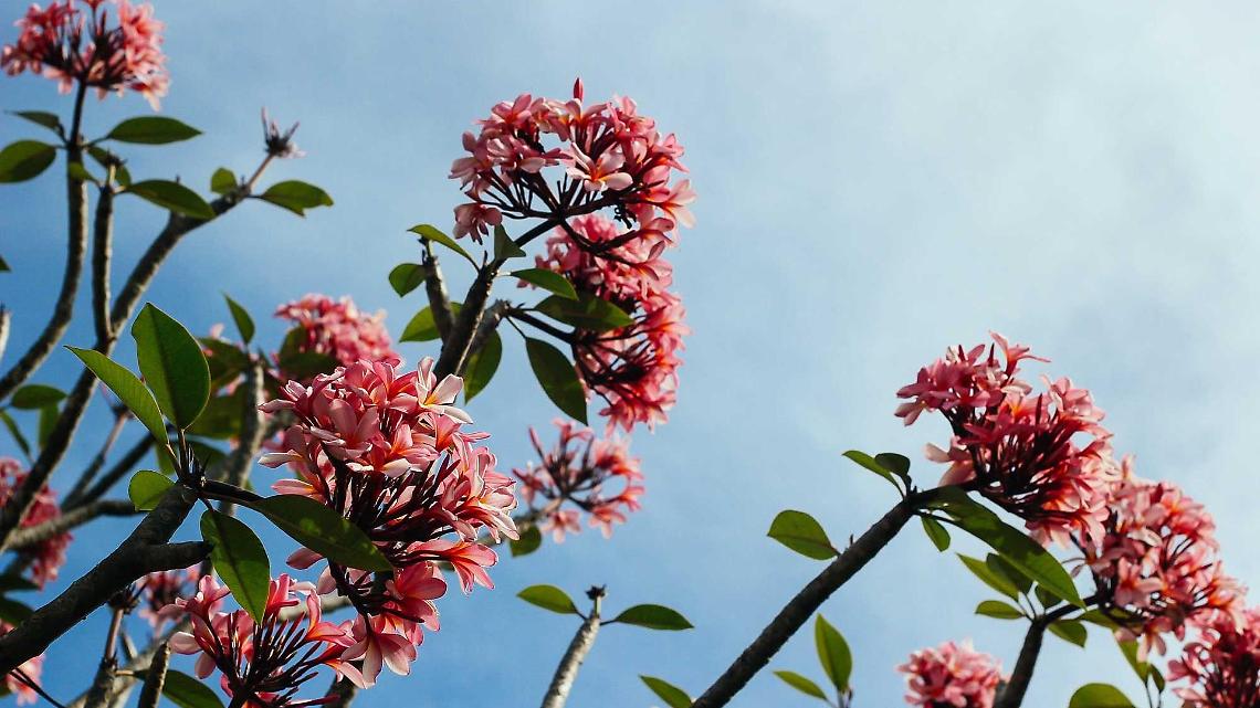 Test Iniziativa Como