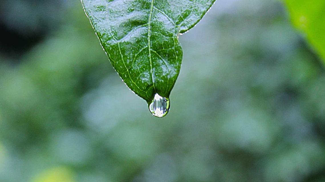 Test Iniziativa Cremona