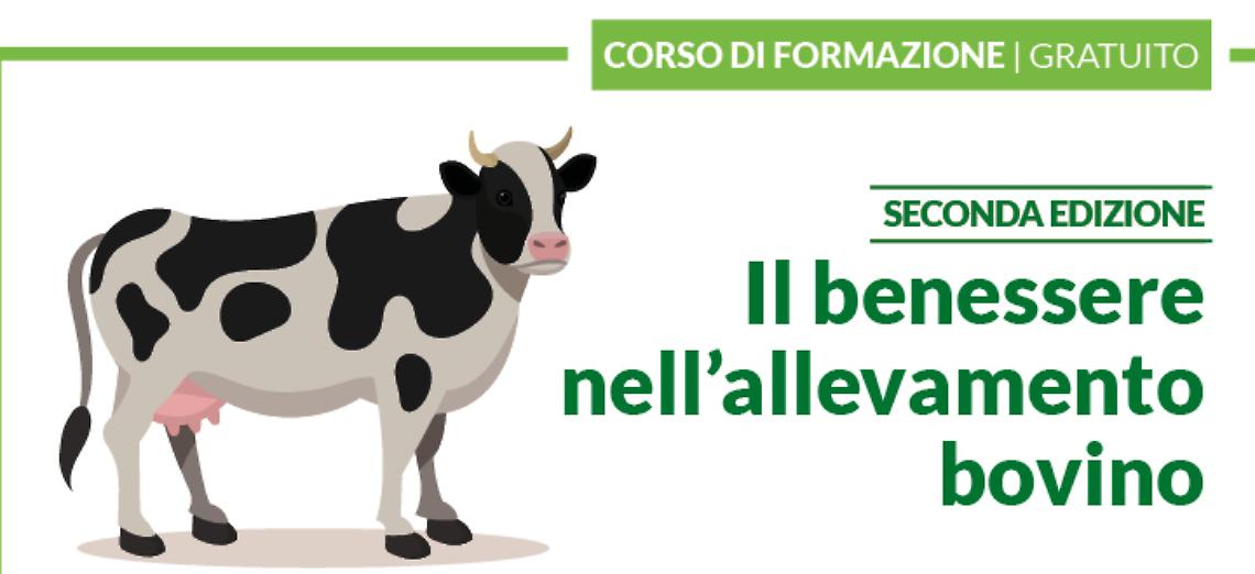 Il benessere nell'allevamento bovino