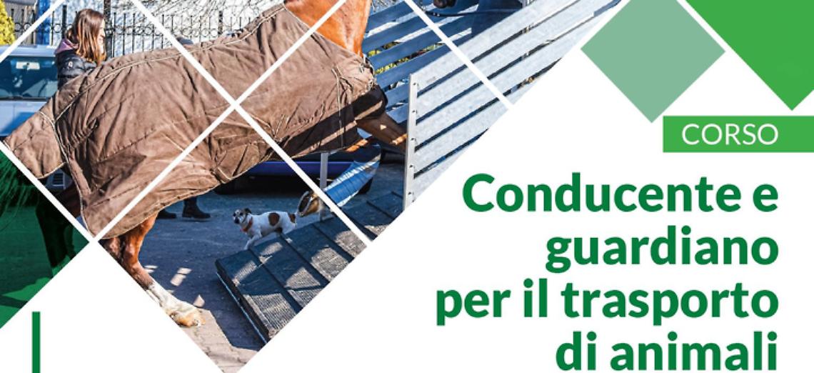 Corso: conducente e guardiano per il trasporto di animali