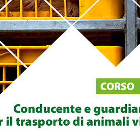 Corso di Formazione Conducente e guardiano per il trasporto di animali vivi