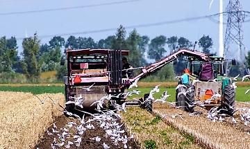 La nostra visione La nostra visione