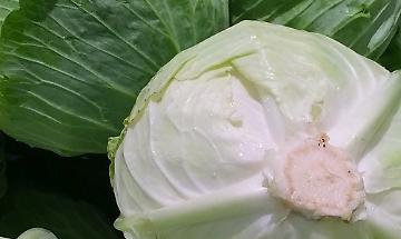 Carta dei servizi Carta dei servizi