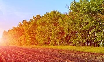 Codice etico Codice etico