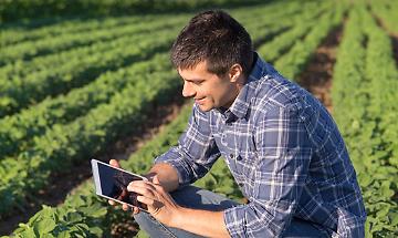 Sedi Territoriali Sedi Territoriali