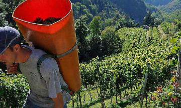 Come Aderire Come Aderire