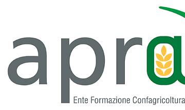 Finanziamenti Finanziamenti