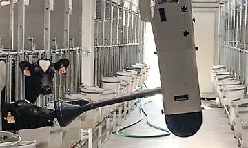 Latte digitale: evento dimostrativo presso l'azienda Della Bona