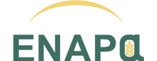 ENAPa