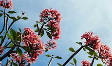 Test Iniziativa Como