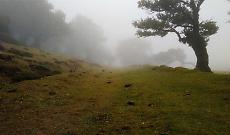 Test Iniziativa Bergamo