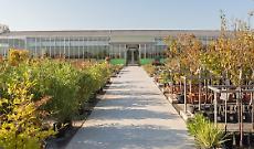 «Al centro la figura del florovivaista»