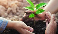 Crotti: “Fondamentale assicurarsi”