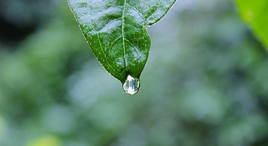 Test Iniziativa Cremona