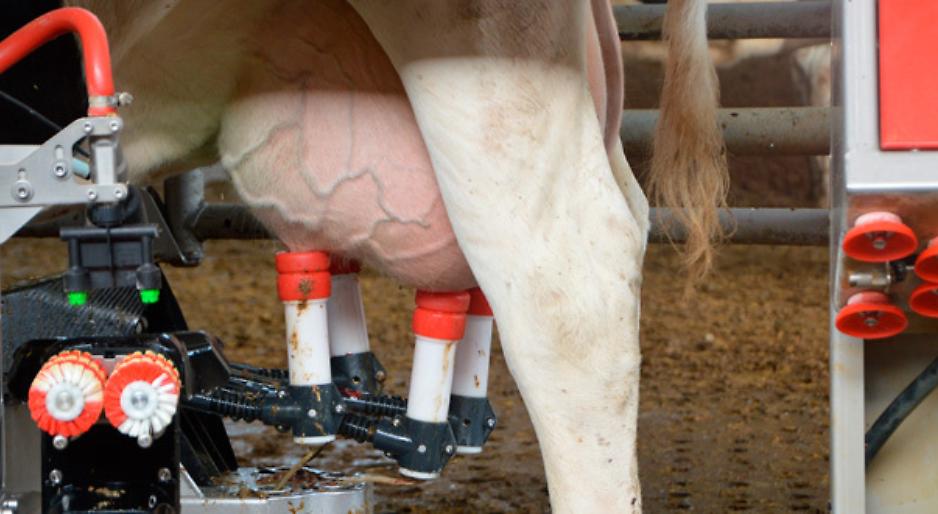 Prezzo del latte, ecco la fumata bianca: 57 cent/l di media fino alla fine dell’anno